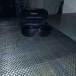 Coach  Women's Sunglasses 