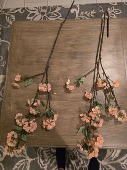 Floral Stems