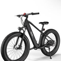 Ebike