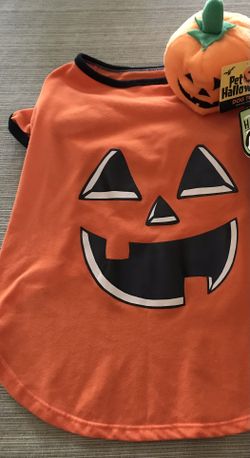 Dog Toy NEW & Halloween Costume