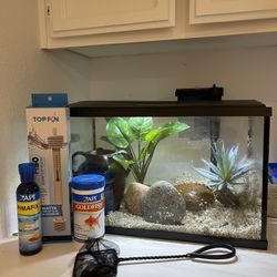 Fish Tank