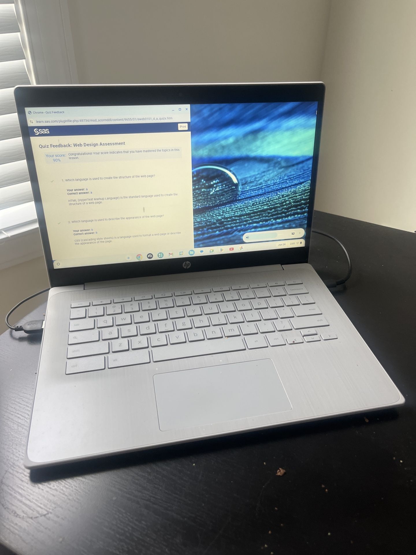 HP Laptop