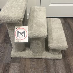 Cat Play Steps 