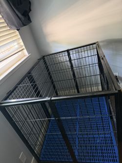 dog kennel