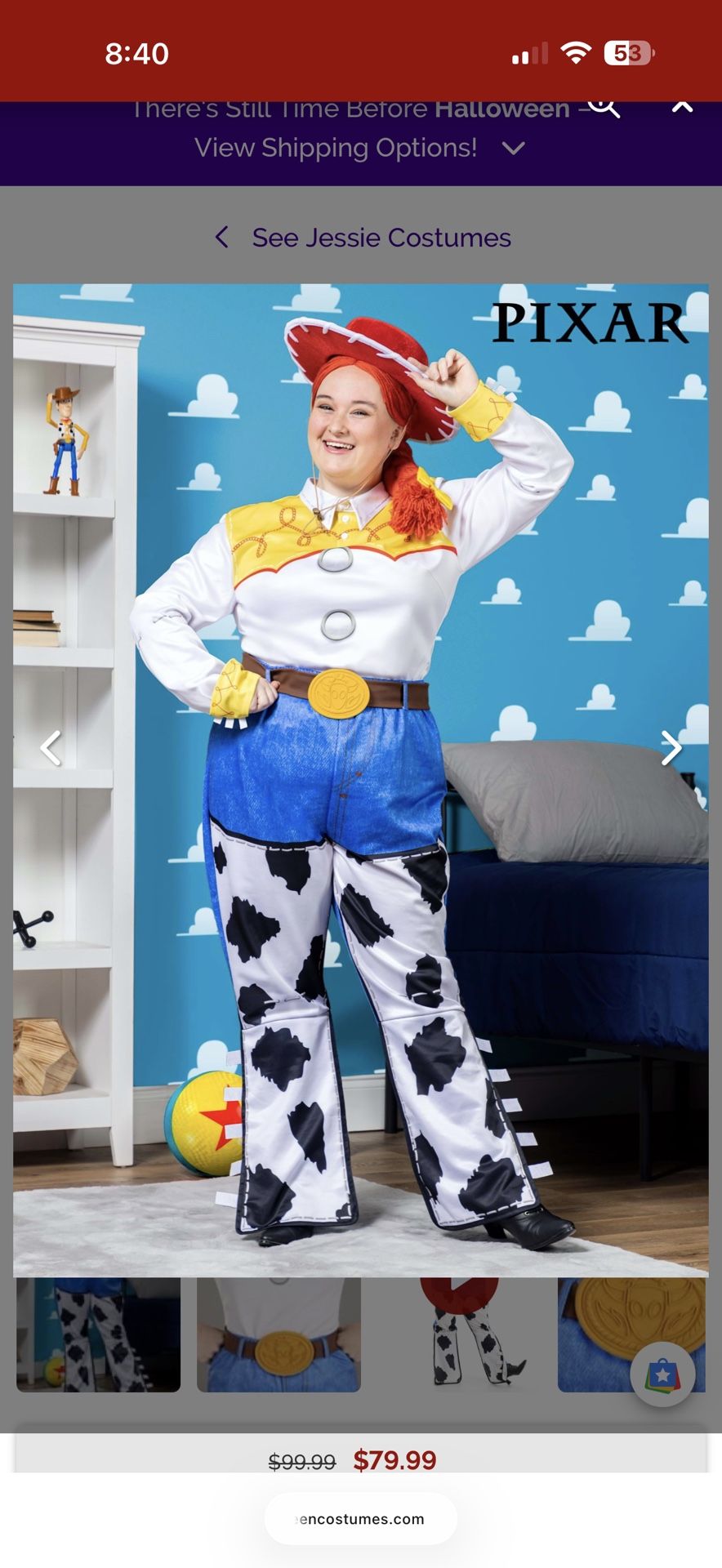 Jessie-Toy Story Adult Costume