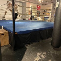 BOXING RING 16x16 Used COMPLETE with Turnbuckles Canvas ALSO Brand New Wooden Platforms 