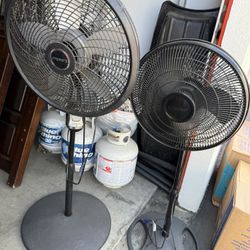 Set Of 2 Fans