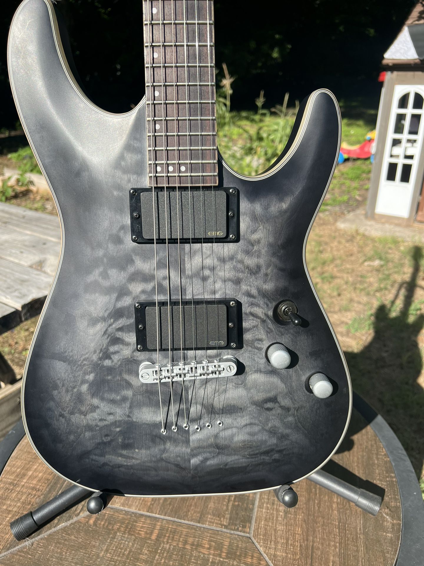 Schector C-1 Platinum guitar 