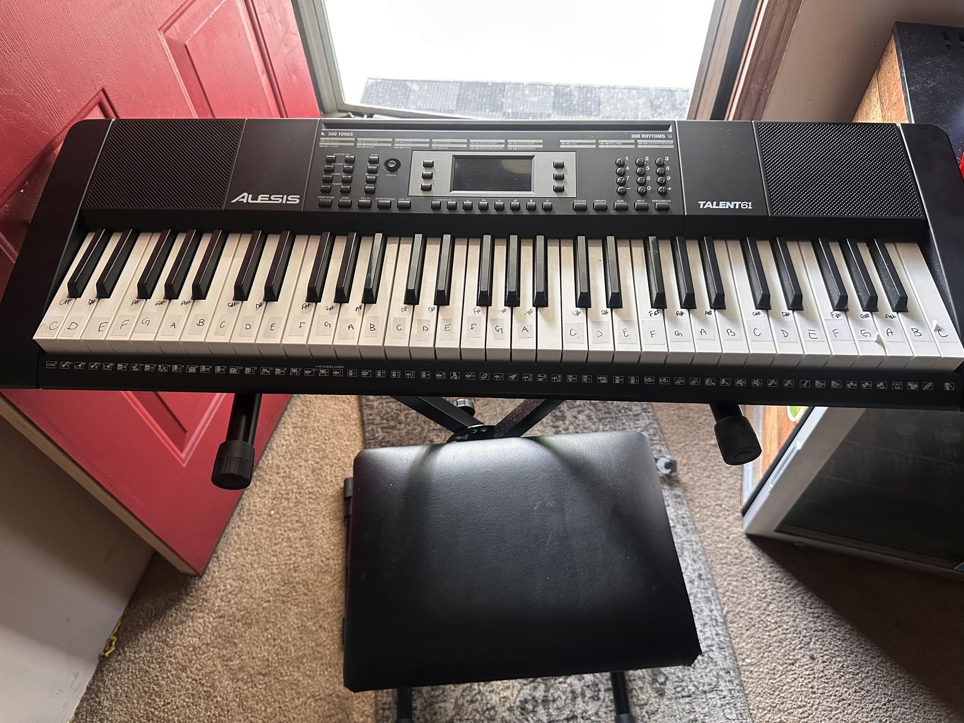 Alesis Keyboard 