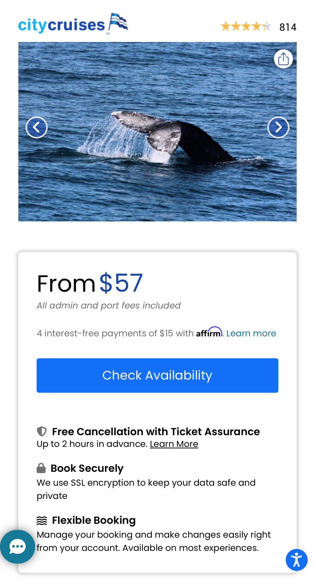 whale watching san diego 2 tickets  