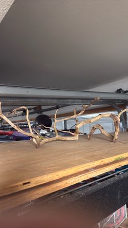 Natural Driftwood Branch Decor Piece