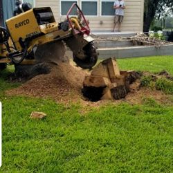 Stump grinding S3RV1CE 