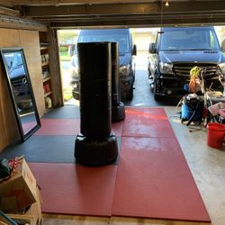 Century Wave master 2XL Punching Bags