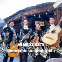 Mariachi Instruments 