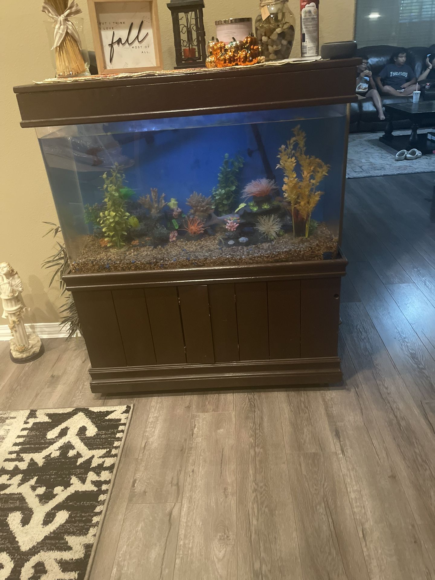 Fish Tank Aquarium 90gallons With Stand Base
