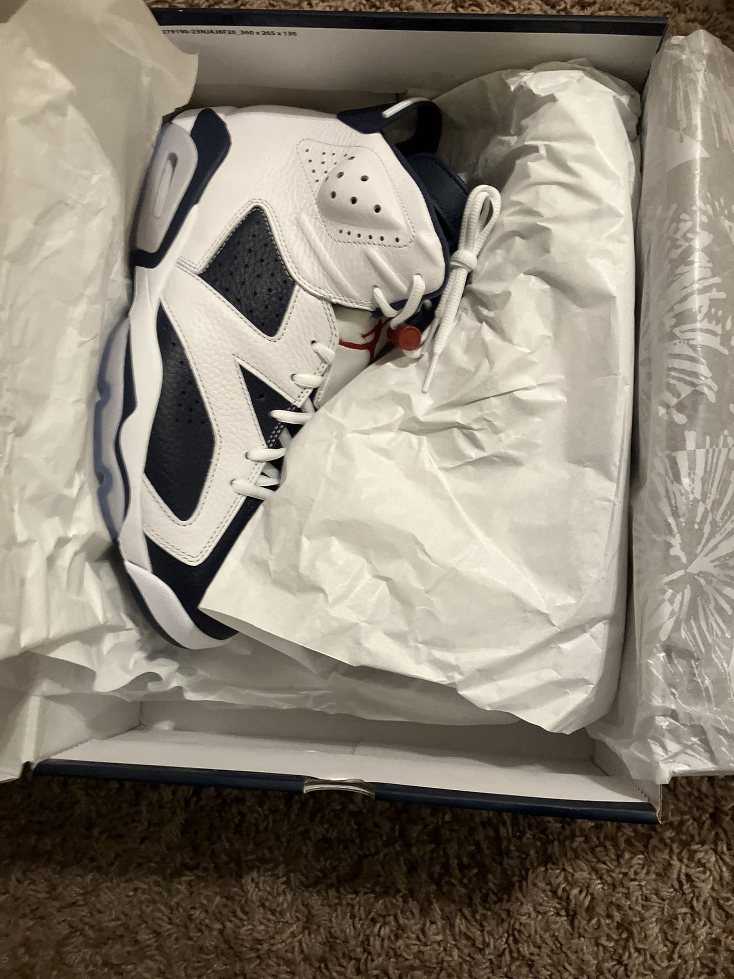 Retro Jordan 6