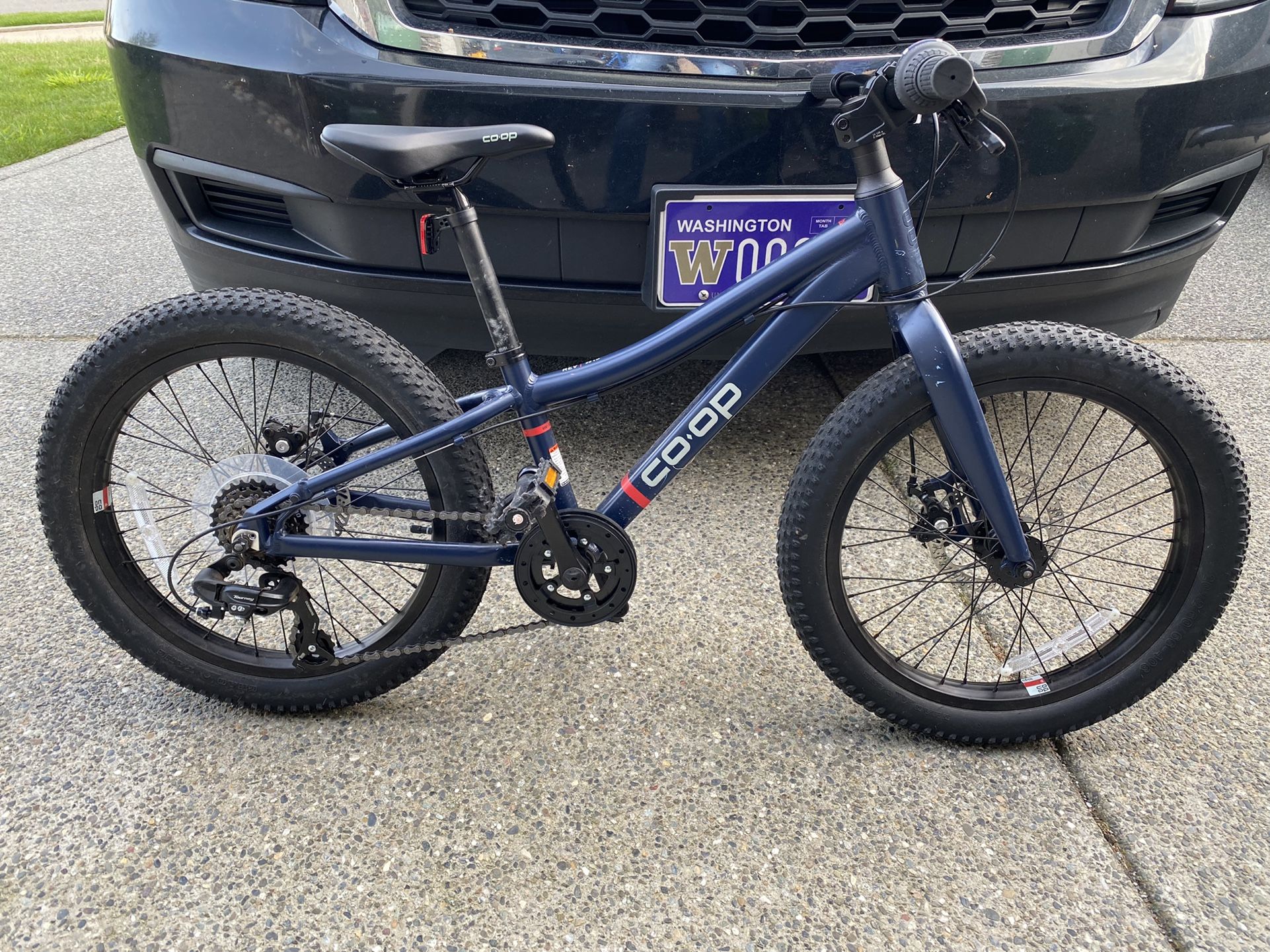 REI Co-Op Rev 20 Kids Bike-excellent Shape
