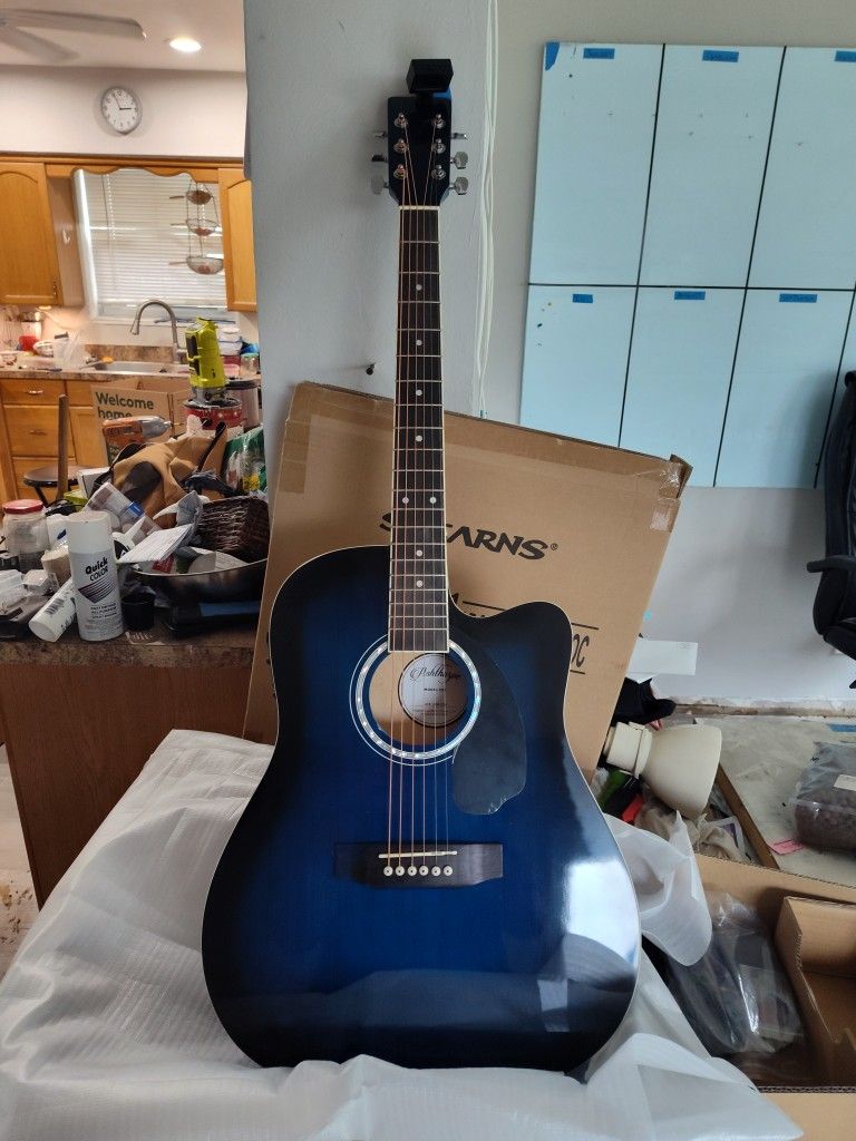 Acoustic Electric Guitar