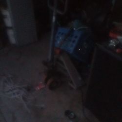 Pallet Jack