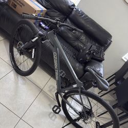 Bike 29”
