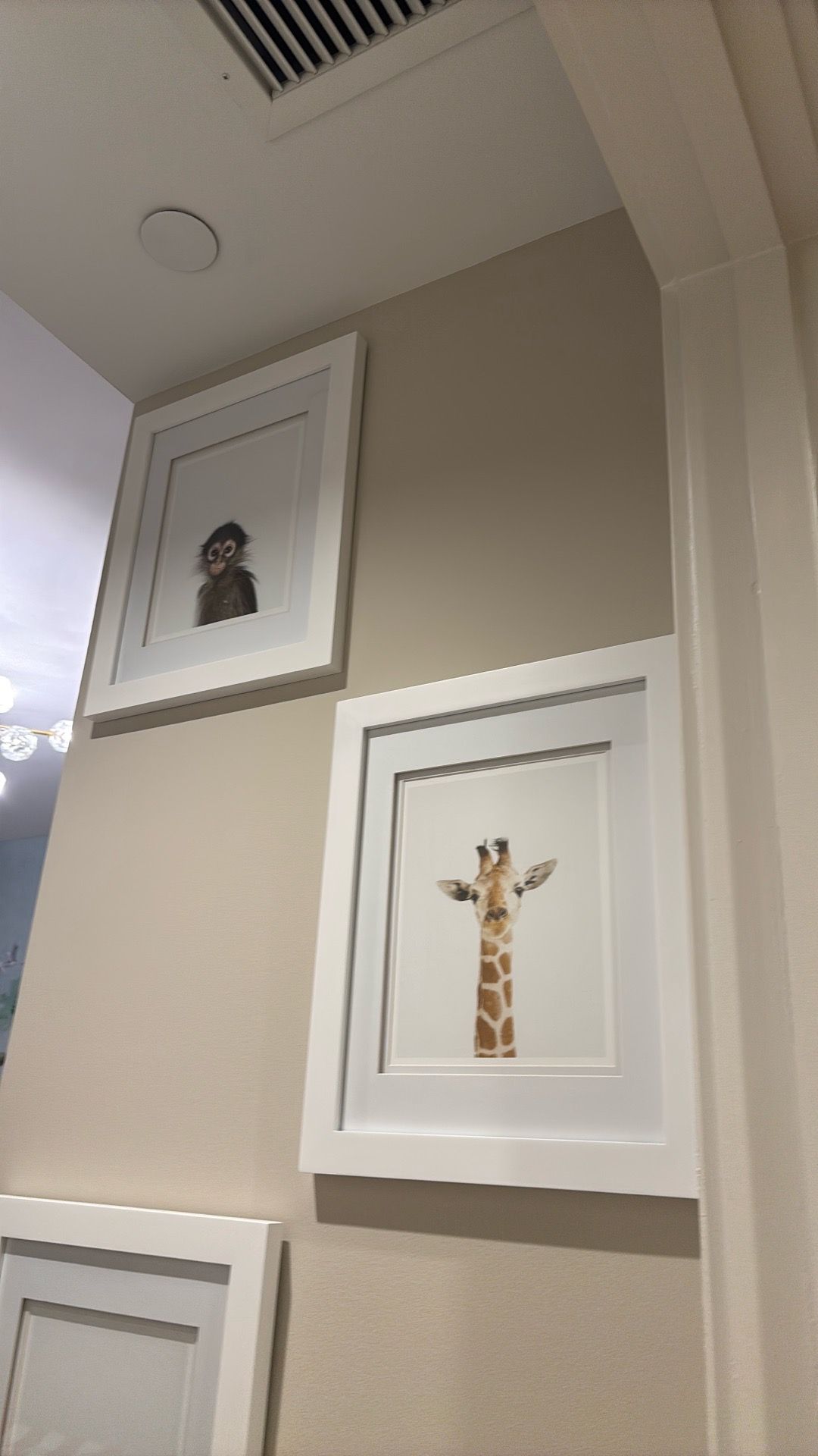 Set of 5 pictures