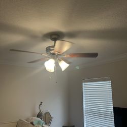 Ceiling Fan 