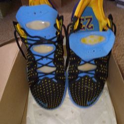 Nike LeBron 9 “Summit Lake Hornets” 