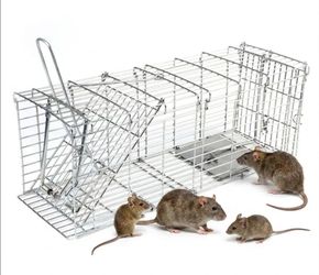 Trap Cages