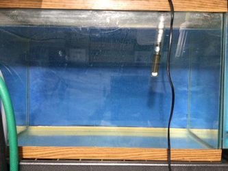 Aquarium 55 g and 20 g 10 g