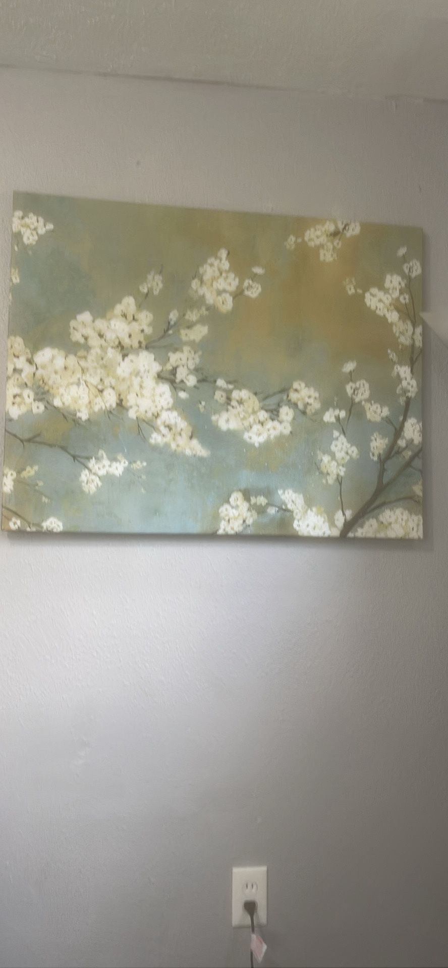 Wall Pictures
