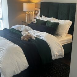 Upholstered Performance Velvet Queen Bed Frame