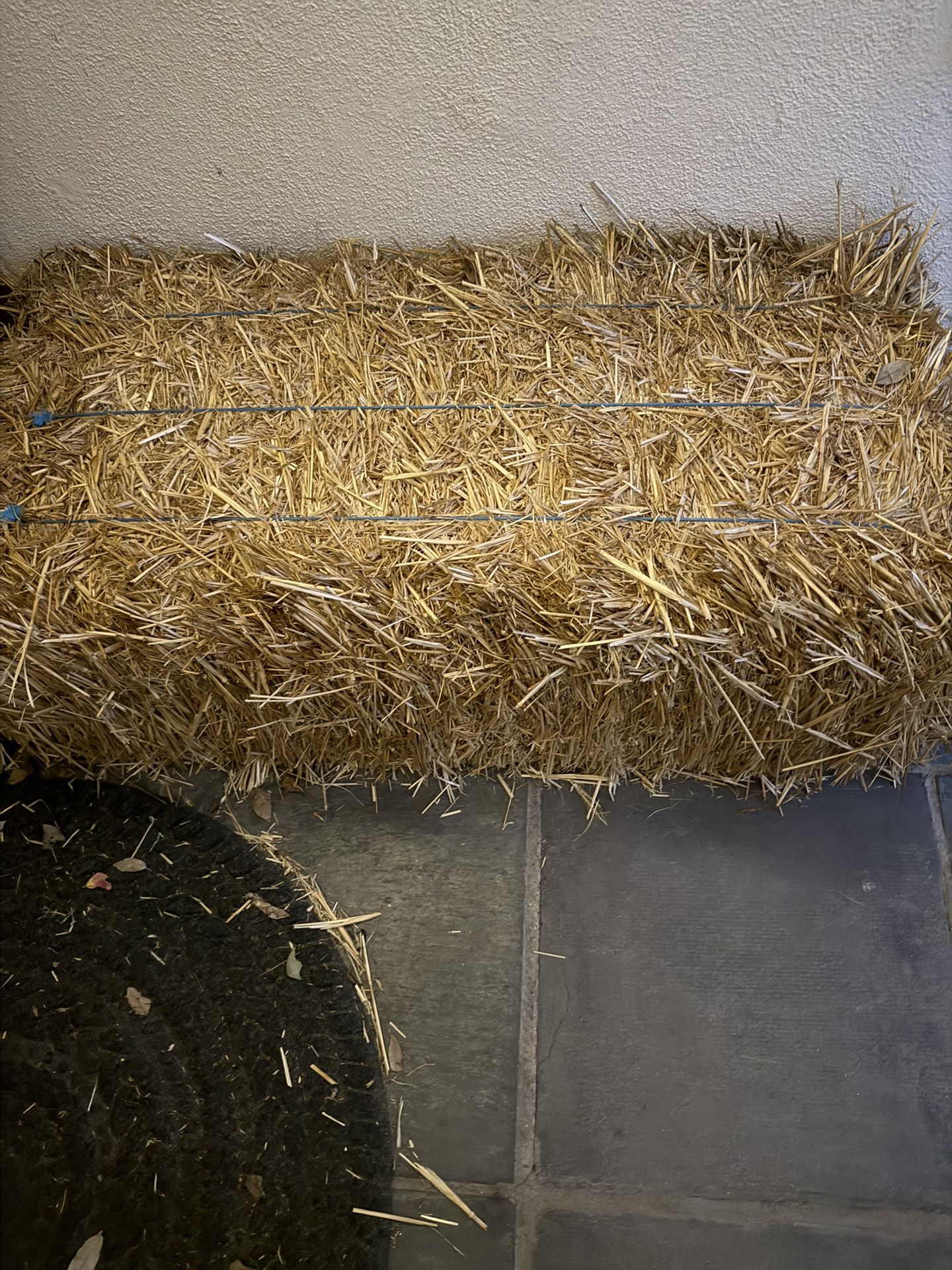 Straw Bale 