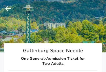 Gatlinburg Space Needle Tickets (5)