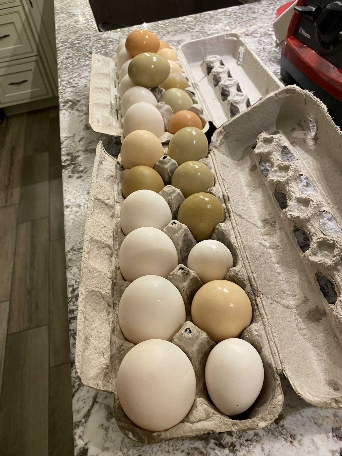 Fresh Organic Chicken And Duck Eggs