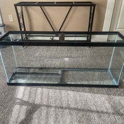 75 Gallon Tank And Stand