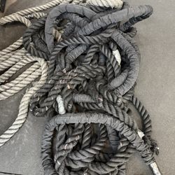 Gym Ropes 