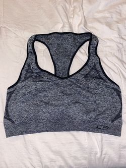 Gray Sports Bra (size 2XL)