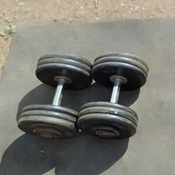 Dumbbells 2x65lbs