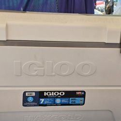 Igloo Ice Cooler 