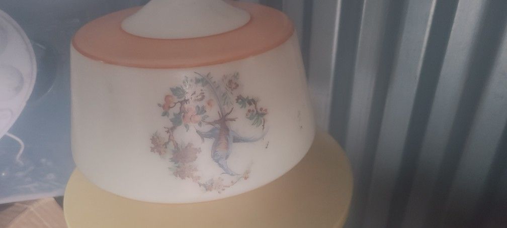 Phoenix Light Fixture