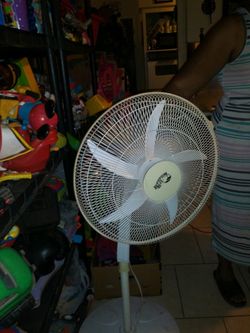 Big fan $25
