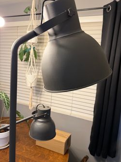Floor and Desk Lamp Dark Gray