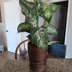 Decorative Artificial Plant