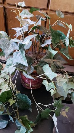 Planta Artificial