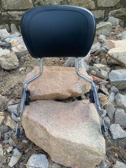 2009-2023 Harley Touring Detachable Backrest Sissy Bar Street Road Glide OEM