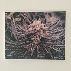 3D Canvas Marijuana Leaf Print