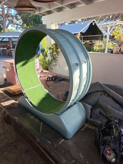 Giant Cat Wheel