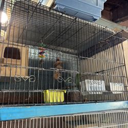 Jaulas Son Dobles 25 Cada Una