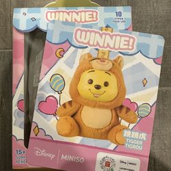 Winnie The Pooh blind boxes from Miniso!!