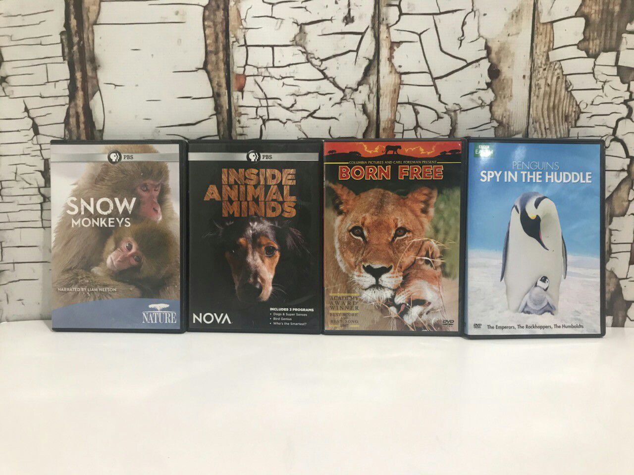PBS Child Educational Animal Movies